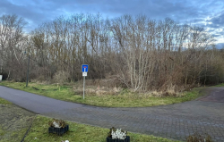 2025.01 vorher IMG_9605